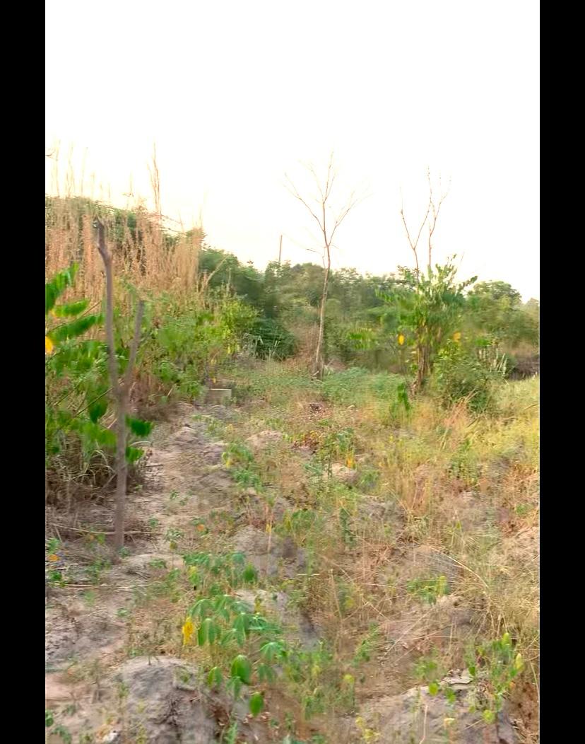 TERRAIN NU
